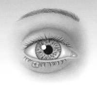 An image of eyelid skin cancer and treatment